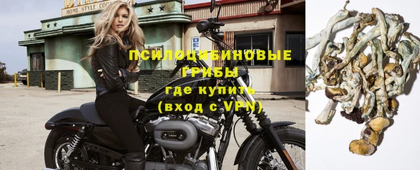 MESCALINE Горняк