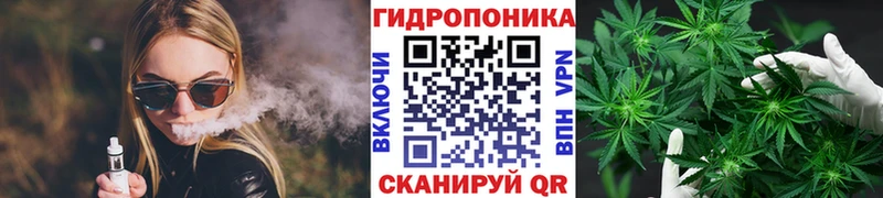 Шишки марихуана AK-47  где купить наркоту  Сланцы 